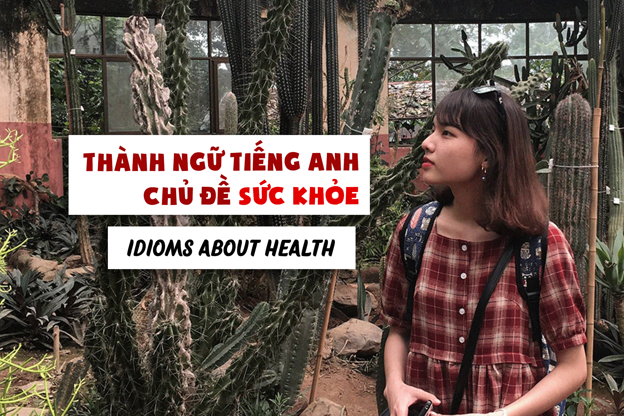 HỌC THÀNH NGỮ TIẾNG ANH CHỦ ĐỀ SỨC KHỎE