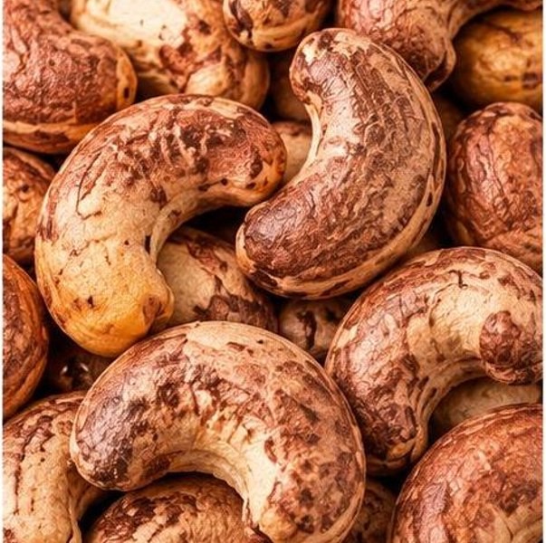 Hạt điều còn vỏ lụa