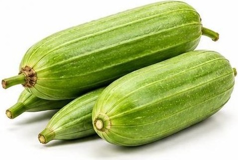 Mướp
