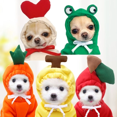 Áo hoodie trái cây cho chó mèo