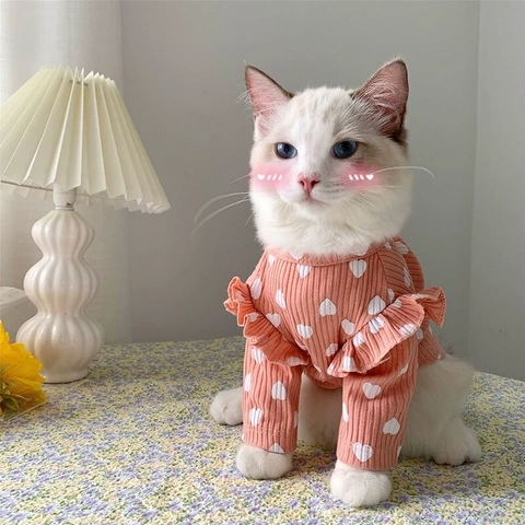 Váy chấm bi cho mèo