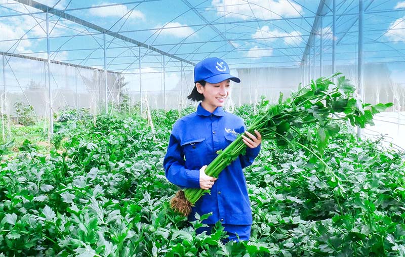 lợi ích khi sản xuất theo tiêu chuẩn GlobalGAP