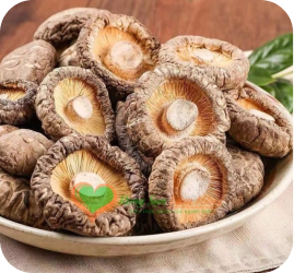 Sản Phẩm Mới