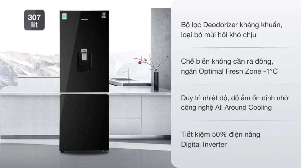 Samsung Inverter 307 lít RB30N4190BU/SV