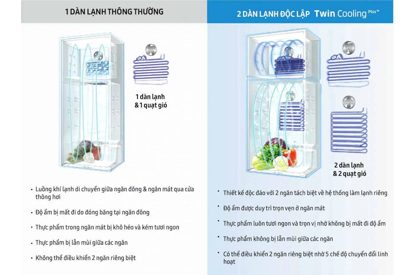 Nguyên lí hoạt động 