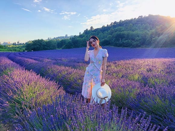 LAVENDER