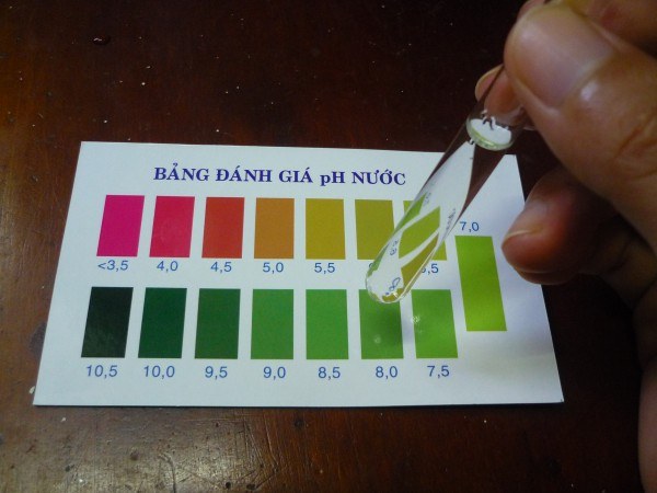 đo pH