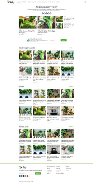 Theme WordPress Website Tin tức Blog Cây