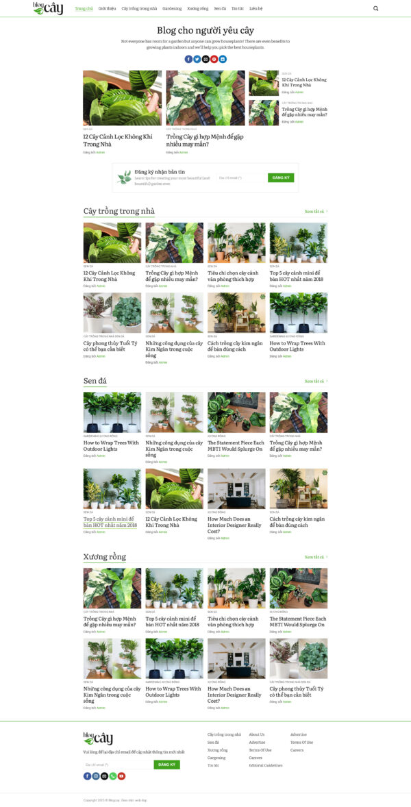 Theme WordPress Website Tin tức Blog Cây