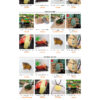 Theme WordPress Website Đá Quý 2