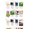 Theme WordPress Website
