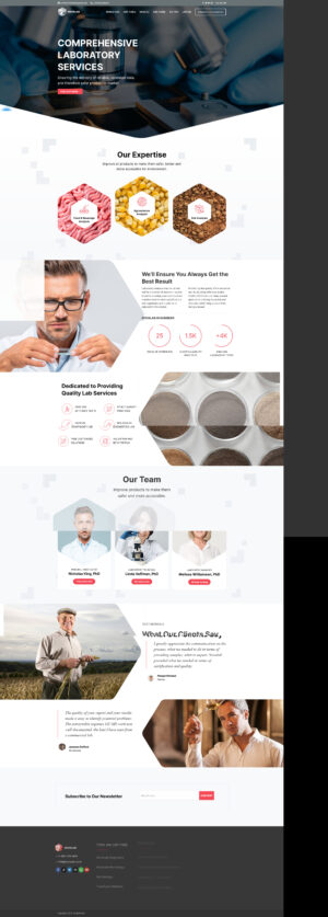 Theme WordPress Website Giới Thiệu 1