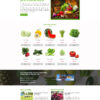 Theme WordPress Website Hợp Tác Xã