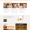 Theme WordPress Website Nhà Xe
