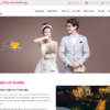 Theme WordPress Website Studio 5