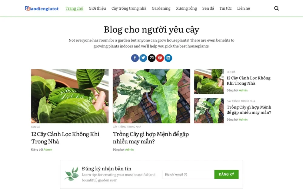 Mẫu Website Blog Cây Cảnh, Sen Đá & Xương Rồng – TINTUC12