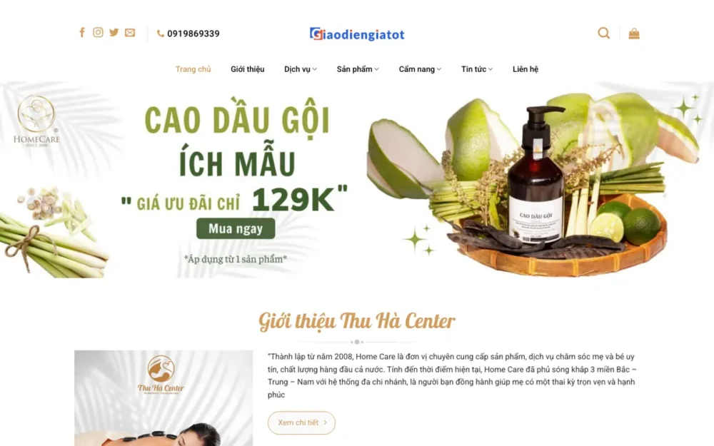 Mẫu Website Chăm Sóc Mẹ Và Bé Sau Sinh Tại Nhà – BABYCARE