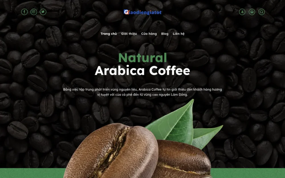 Mẫu Website Cung Ứng Cà Phê Hạt Arabica – CAFE3