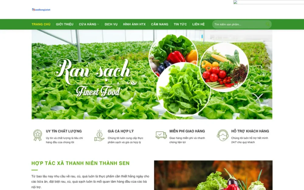 Mẫu Website Hợp Tác Xã Rau Củ Quả Sạch – HTX