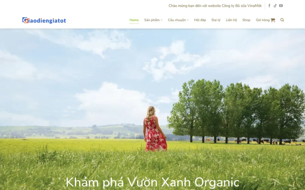 Mẫu Website Sữa Bột Hữu Cơ Nhập Khẩu Tối Giản – MILK3