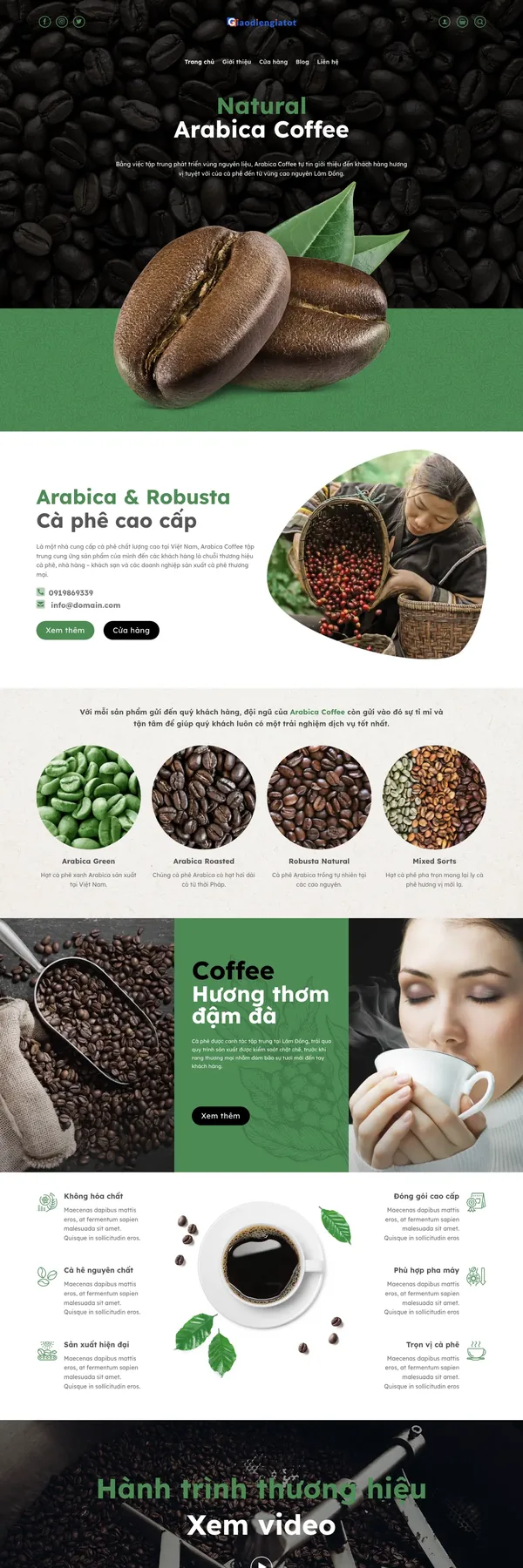 Màn hình đầu mẫu website cung ứng cà phê hạt Arabica với banner hạt cà phê