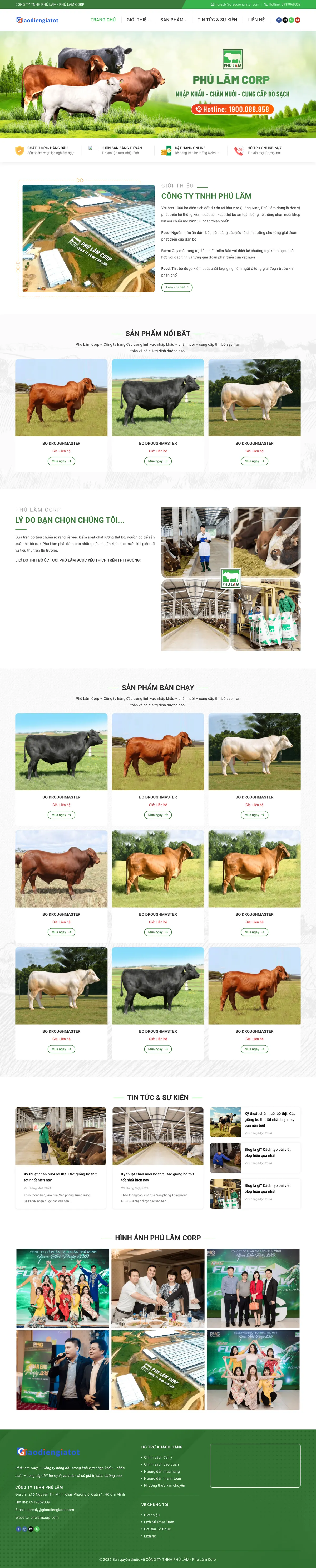 Mẫu Website Trang Trại Chăn Nuôi & Cung Cấp Bò – PHULAMCORP